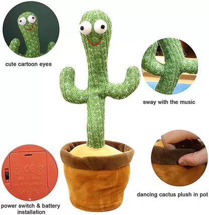 GroovyGreen Dancing Cactus