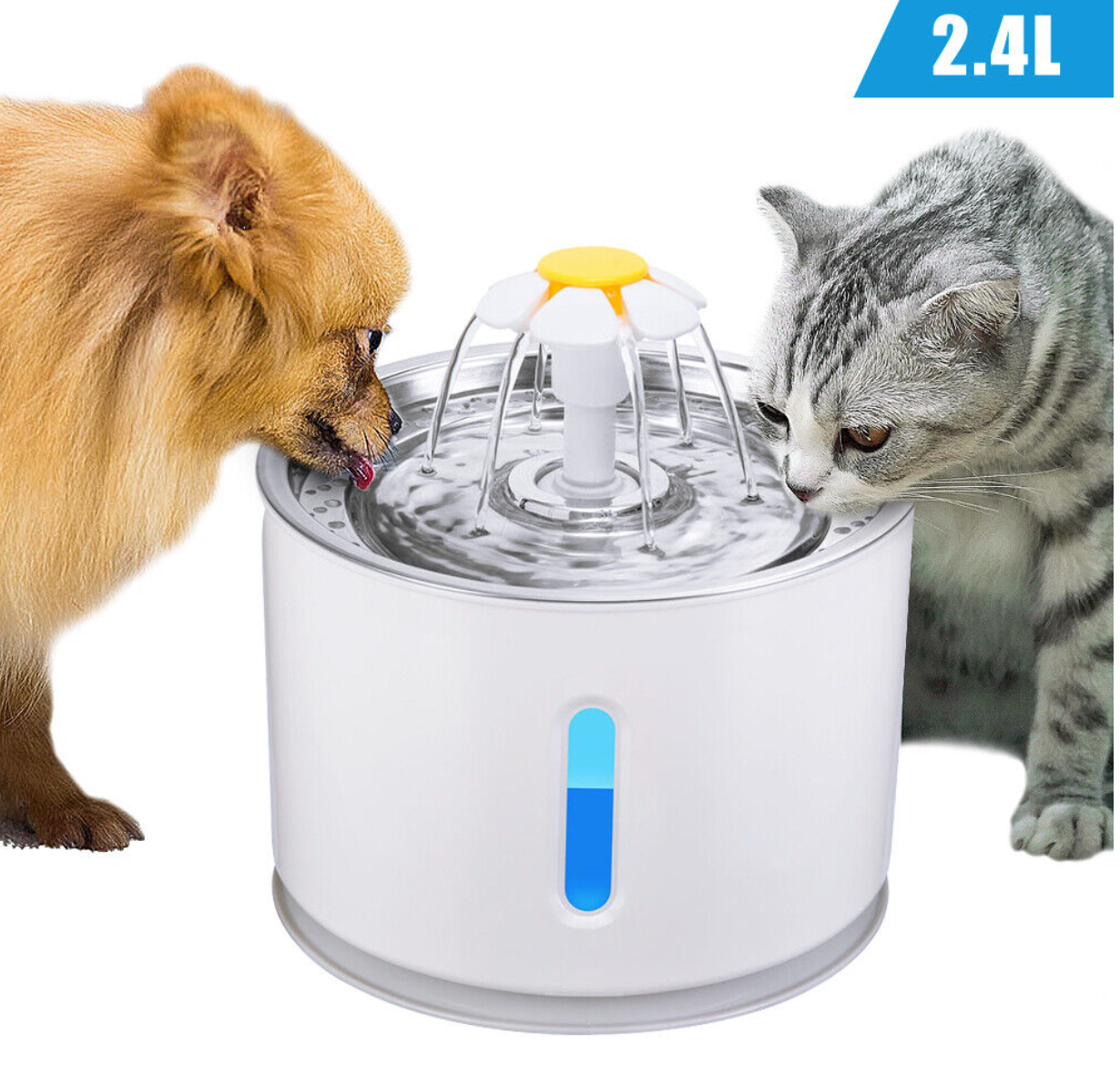 Pet Water Fountain