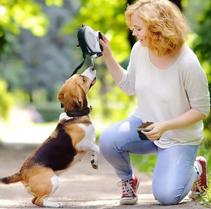 Multifunctional Dog Leash