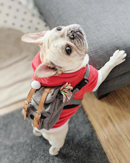 Dog Self Backpack