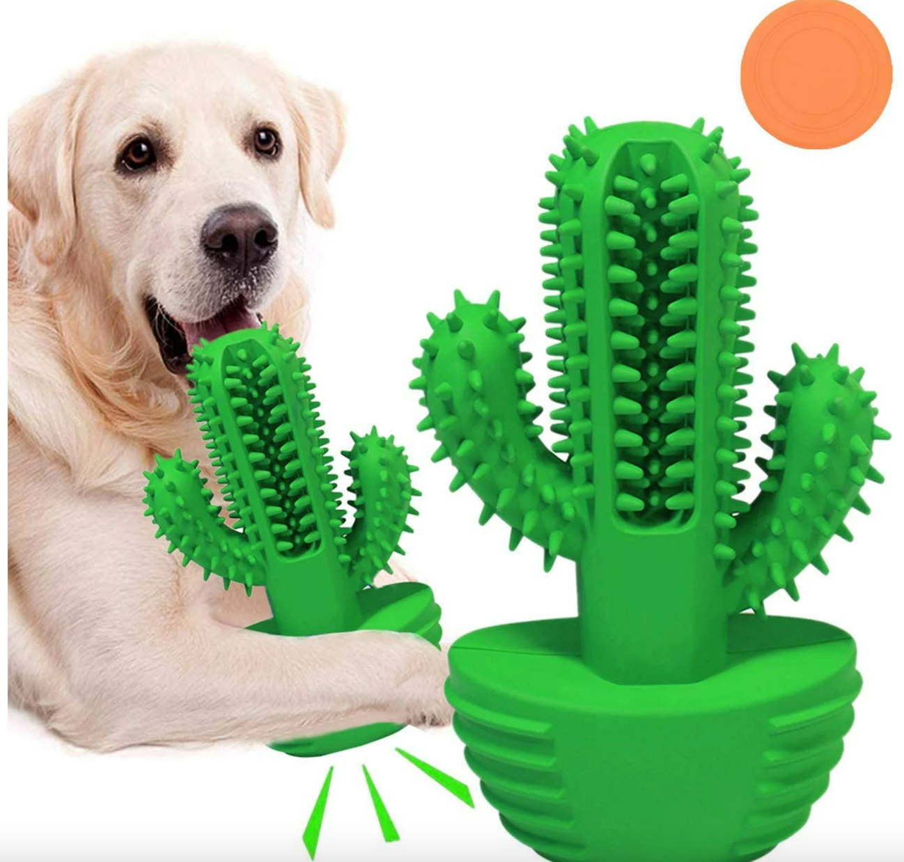 Dog Cactus Toothbrush