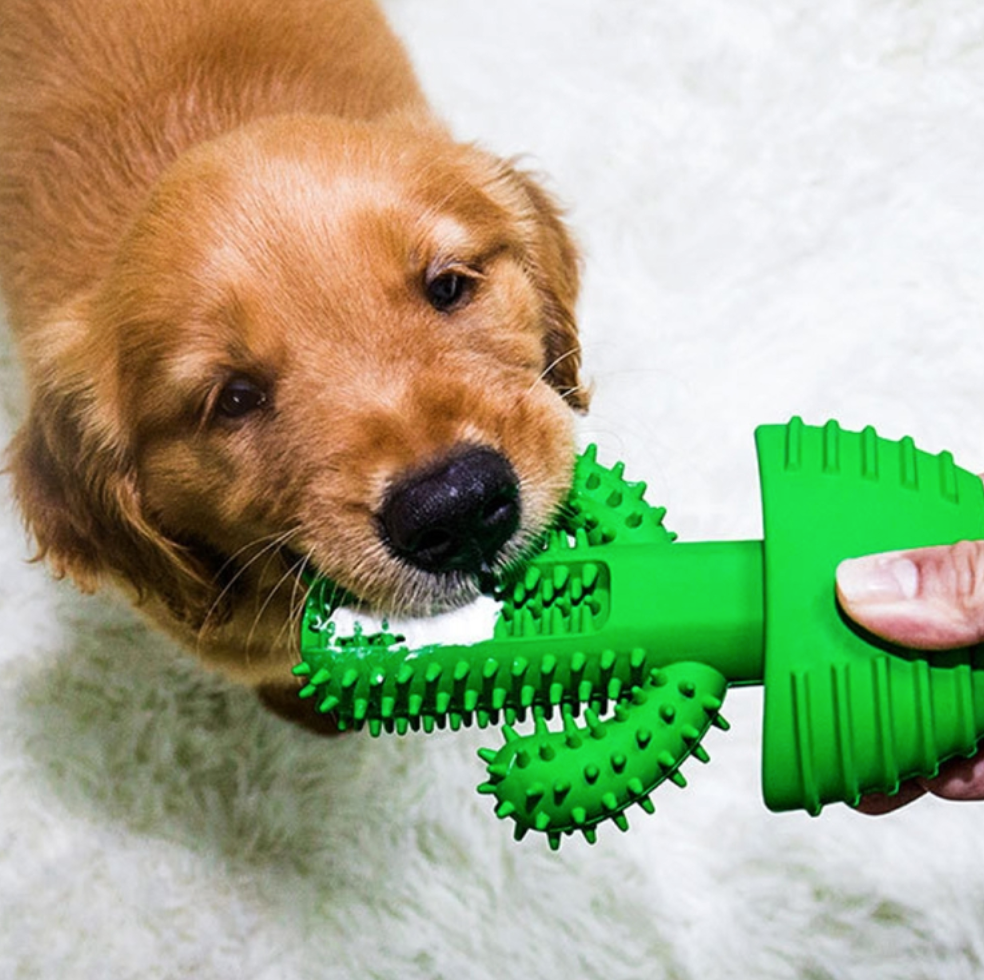 Dog Cactus Toothbrush