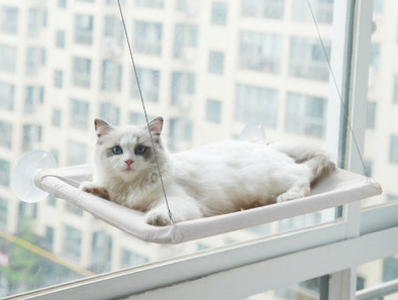 Cat Window Hammock