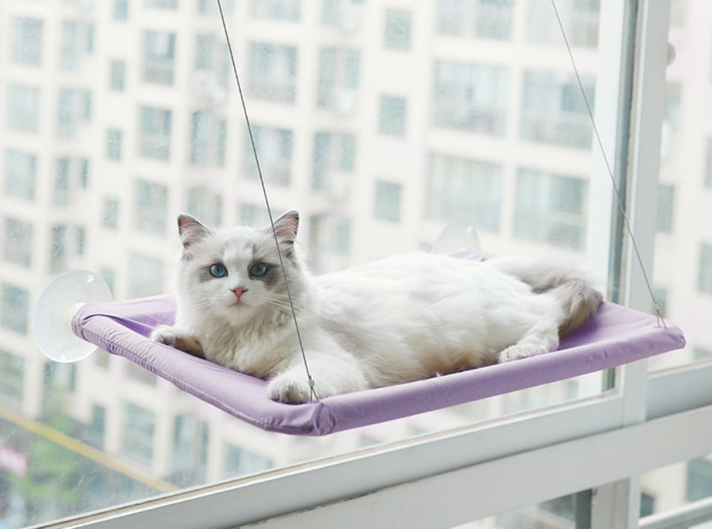 Cat Window Hammock