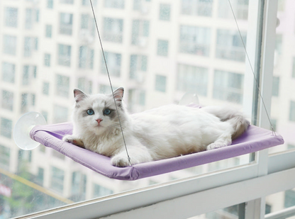 Cat Window Hammock