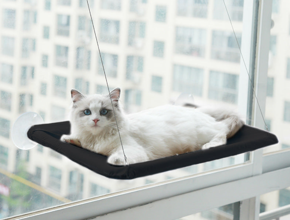 Cat Window Hammock