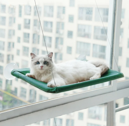 Cat Window Hammock