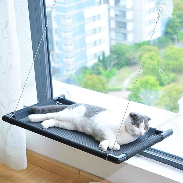 Cat Window Hammock