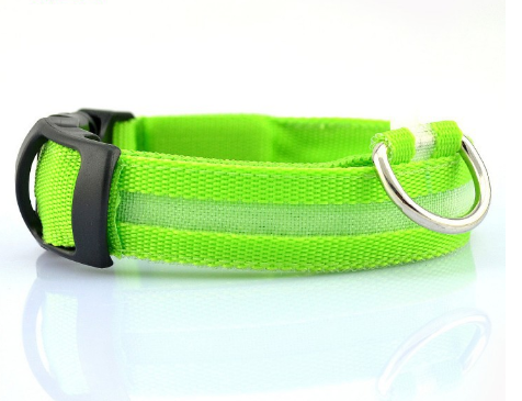 Rechargeable LED Dog Collar