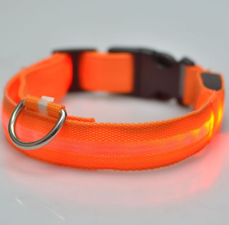 Rechargeable LED Dog Collar